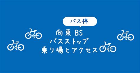 向東|【向東バスストップ】乗り場はどこ？向島の高速道路。